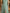 Mint Green Chiffon One Shoulder 3D Floral Cinched Waist High Slit Maxi Dress