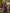 One-shoulder Pleated Chiffon Maxi Dress