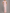 Asymmetrical Off-Shoulder Ruched Maxi Dress
