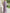 Solid Color Chiffon Shawl Sleeves With A Cinched Waist Maxi Dress