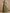 Olive Green Textured Chiffon Waist Cinching Maxi Dress