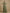 Olive Green Textured Chiffon Waist Cinching Maxi Dress