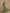 Olive Green Textured Chiffon Waist Cinching Maxi Dress
