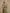 Olive Green Textured Chiffon Waist Cinching Maxi Dress