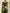 Green Iris Print Satin Pencil Skirt With A Cinched Waist Midi Dress