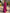 Rose Pink Shimmering Single Shoulder Flower Maxi Dress