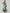 Dark Green Artistic Floral Print Sleeveless Fitted Waist Flared  Maxi Dress
