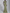 Asymmetrical Draped Satin Mermaid Maxi Dress