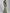 Asymmetrical Draped Satin Mermaid Maxi Dress
