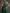 Pleated Backless Satin Maxi Dress