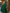 Pleated Backless Satin Maxi Dress