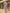 Chiffon V-neck Floral Ruffled Sleeves Jumpsuit