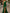 Robe longue queue de sirène torsadée asymétrique en satin vert