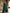 Dark Green Lace Long Sleeved Chiffon With Slits Maxi Dress