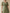 Gray Green Draped Chiffon V-neck Maxi Dress