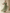 Gray Green Draped Chiffon V-neck Maxi Dress