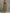 Sage Green Halter Neck Floral Chiffon Maxi Dress