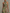 Sage Green Halter Neck Floral Chiffon Maxi Dress
