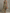 Sage Green Halter Neck Floral Chiffon Maxi Dress