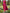 Solid Color Satin One Shoulder Tie Up Maxi Dress