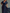 Deep Navy Chiffon V-neck Ruffled Sleeve Maxi Dress