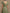 Green V-neck Ruffled Sleeve Maxi Dress