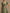 Green V-neck Ruffled Sleeve Maxi Dress