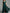 Dark Green Chiffon Wrap With Ruffles Maxi Dress