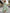 Sage Green Chiffon Asymmetrical Shawl Maxi Dress