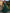 Dark Green Chiffon V-Neck Flutter Sleeves And Fitted Waist Maxi Dress