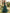 Dark Green Chiffon V-Neck Flutter Sleeves And Fitted Waist Maxi Dress
