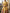 Yellow Round Neck Printed Flared Midi Dress