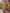 Orange Floral Off Shoulder Slim Fit Maxi Dress