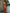 Orange Floral Off Shoulder Slim Fit Maxi Dress
