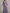 Purple Chiffon Floral Shawl Maxi Dress