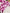 White And Purple Floral Print Crew Neck Short Sleeved Midi Dress
