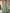 Sage Green Ruffled Chiffon Pleated Maxi Dress