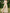 Chiffon Lace Round Neckline Jumpsuit