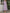 Solid Color Knotted Waist Chiffon Cake Layer Midi Dress