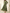 Olive Green Pleated Ruffle Maxi Dress