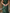 Satin V-neck Fitted Waist Floral Ruffles Maxi Dress