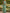 Sage Green One Shoulder Chiffon Ribbon Fishtail Maxi Dress