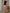 Chiffon Black Round Neck Fitted Waist Mesh Puffy Midi Dress