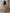 Chiffon Black Round Neck Fitted Waist Mesh Puffy Midi Dress