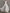 Chiffon V-neck Halter Neck Ruffled Trim Cinched Waist Maxi Dress