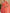 Orange Red One Shoulder Chiffon Ribbon Maxi Dress