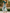Emerald Green Floral Print Midi Dress