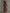 Birkens Red Chiffon Snakeskin Print Ruffled Waist Maxi Dress
