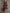 Birkens Red Chiffon Snakeskin Print Ruffled Waist Maxi Dress