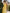 Yellow halter neck chiffon with 3D floral pattern Maxi Dress